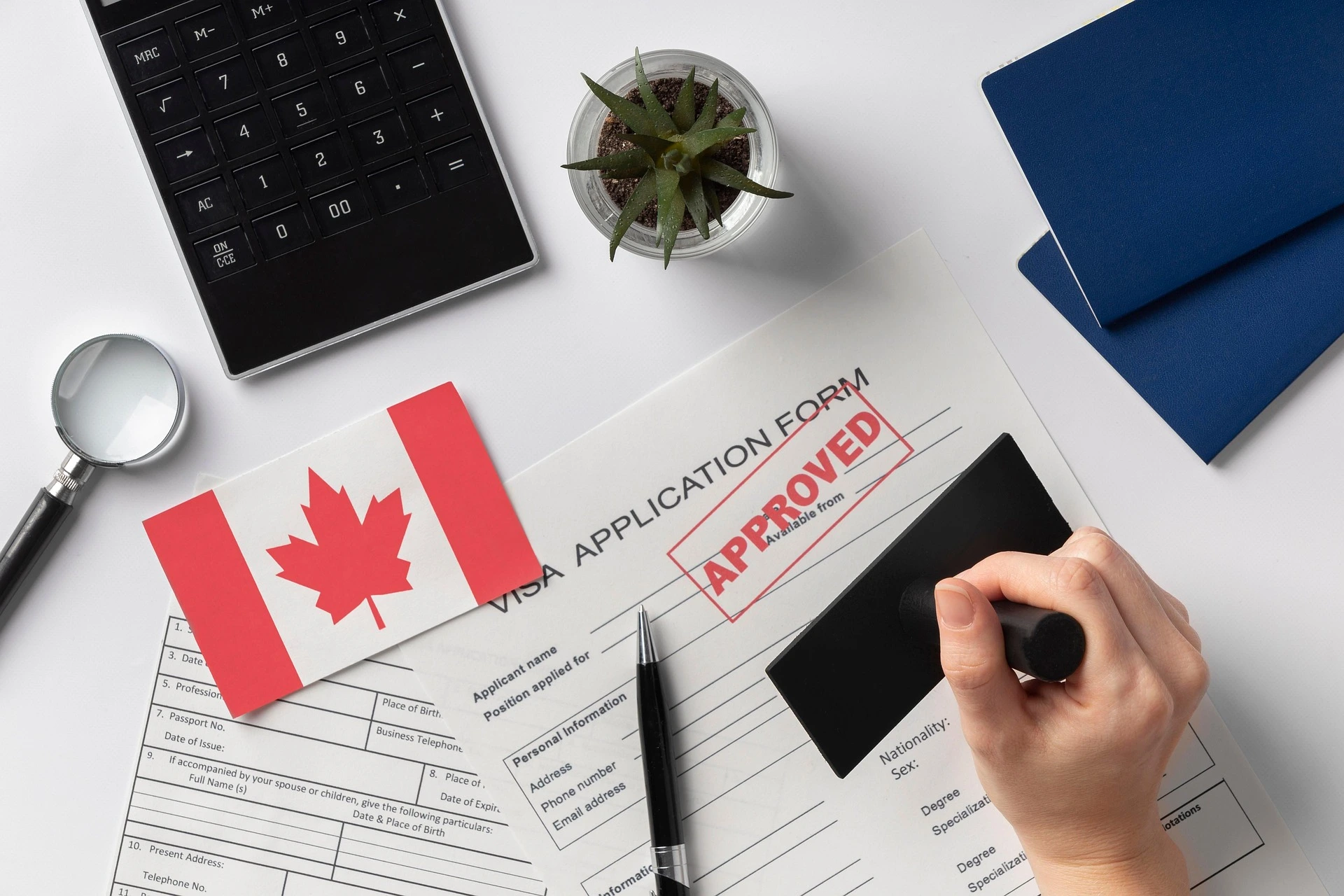 Visa application documents prepared for review